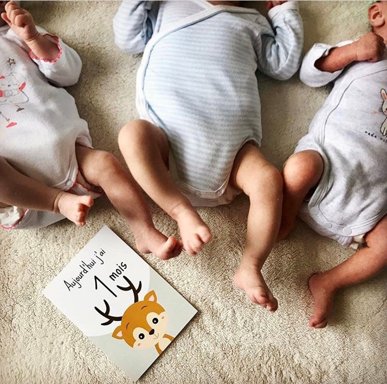 Cartões de marcos do bebê, mês a mês, animais, presente de nascimento, panda, raposa… imagem 2