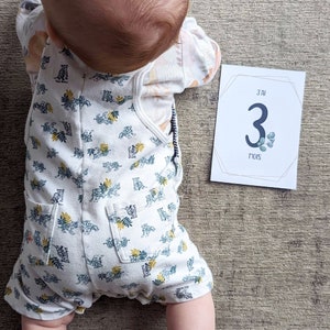 Cartes étapes Bébé - Mois Par Mois - Design Ethnique Hibou/chouette - Cadeau Naissance Original