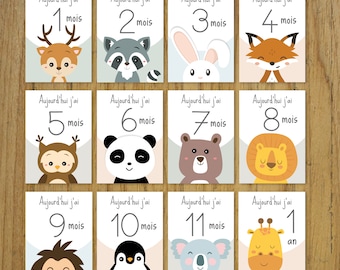 Cartões de marcos do bebê, mês a mês, animais, presente de nascimento, panda, raposa…