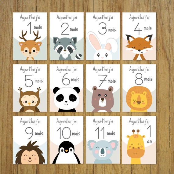 Cartes étapes bébé - 13 - 24 mois - 1 à 2 ans sur thème Animaux mignon –  Imagine.affiche