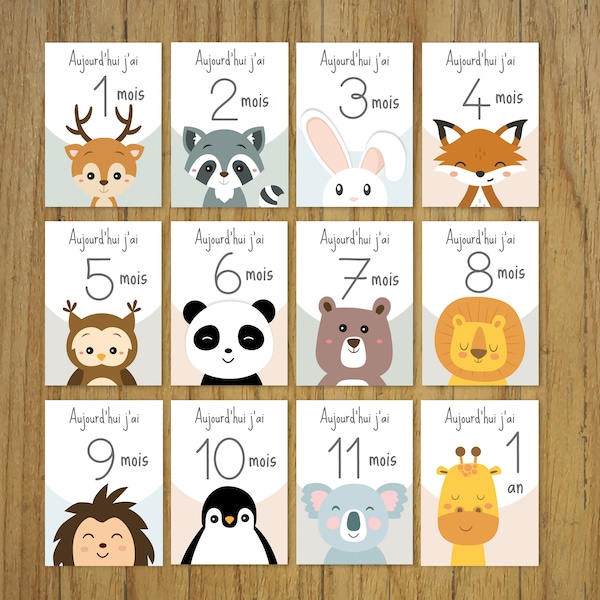 Cartes étapes bébé, mois par mois, animaux, cadeau naissance, panda, renard…