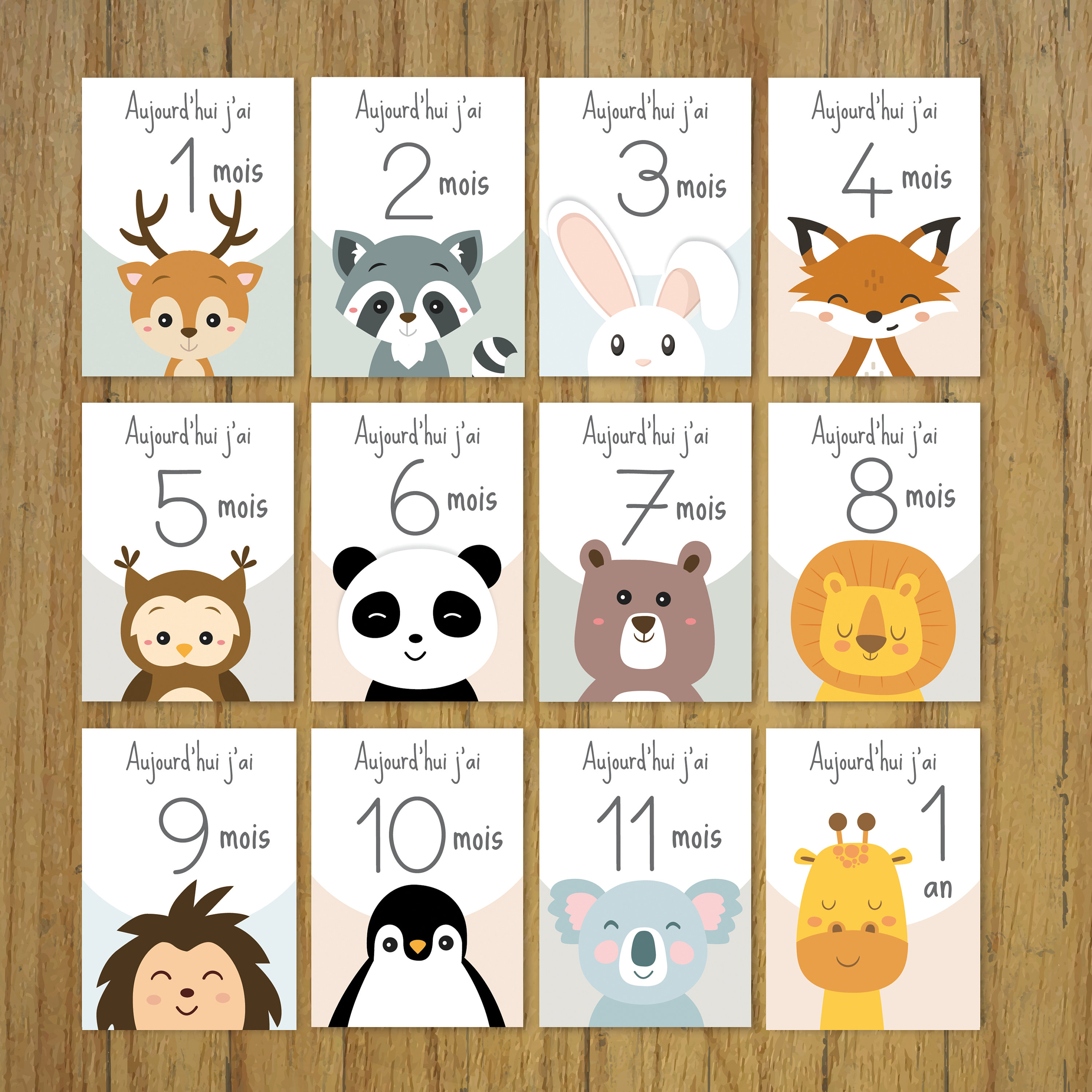 Step cards baby month by month animals birth gift panda fox