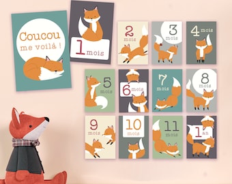 Baby milestone cards, month by month, birth gift, fox, memories...