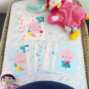 Cartes étapes bébé, mois par mois, flamant rose, cadeau naissance, tropical, babyshower