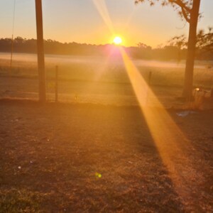 Good Morning Florida