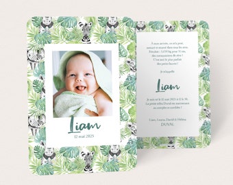 Birth announcement for boy, tropical jungle and savannah animals, with photo