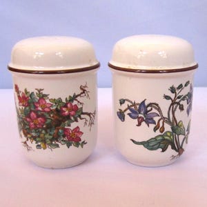 Circa 1980s Villeroy & Boch Botanica Salt and Pepper Shakers