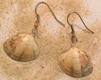 Rigadell * beige seashell earrings