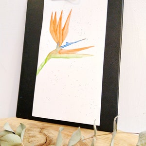 Botanical watercolor, bird of paradise tropical flower, botanical illustration, original bird of paradise watercolor, tropical poster image 7