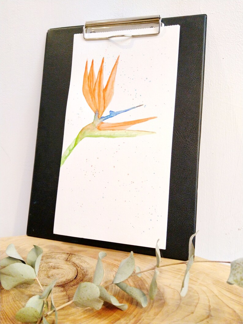 Botanical watercolor, bird of paradise tropical flower, botanical illustration, original bird of paradise watercolor, tropical poster image 7