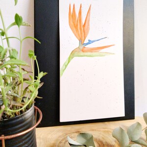 Botanical watercolor, bird of paradise tropical flower, botanical illustration, original bird of paradise watercolor, tropical poster image 5