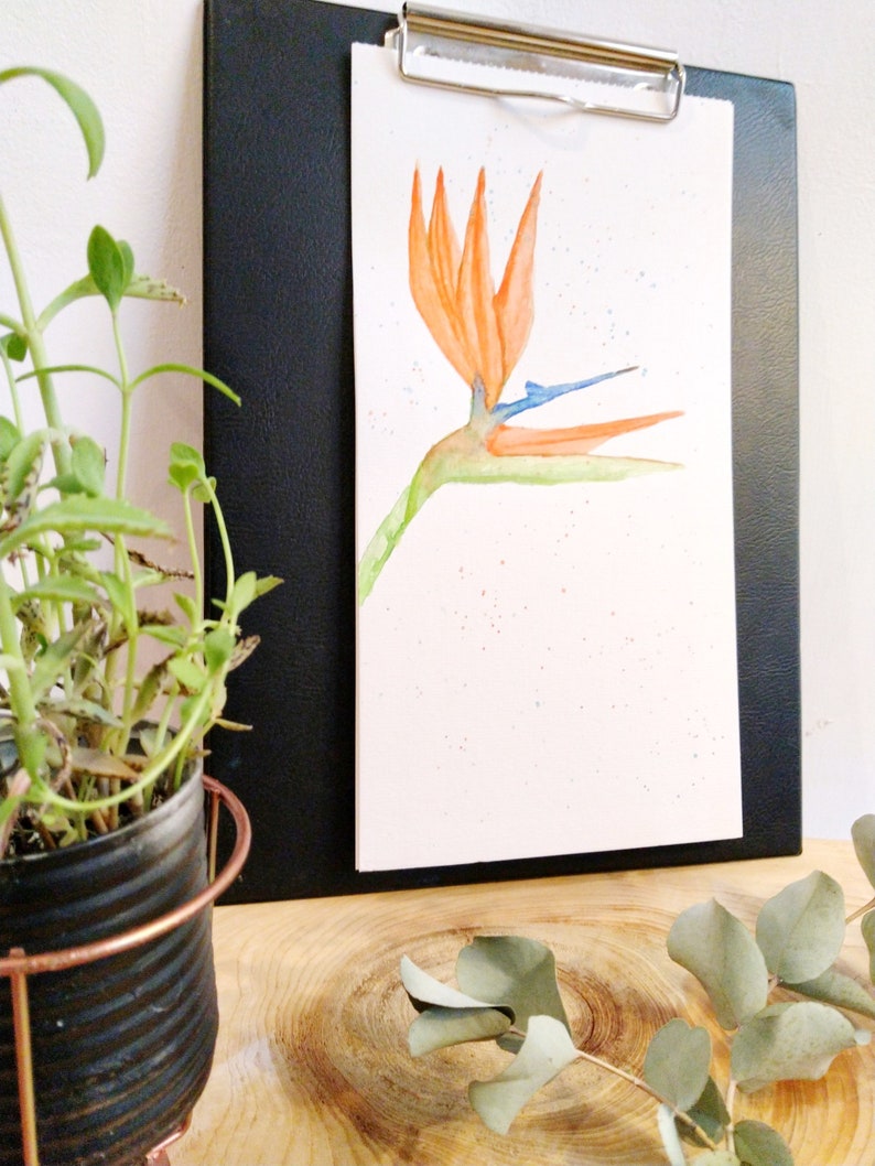 Botanical watercolor, bird of paradise tropical flower, botanical illustration, original bird of paradise watercolor, tropical poster image 5