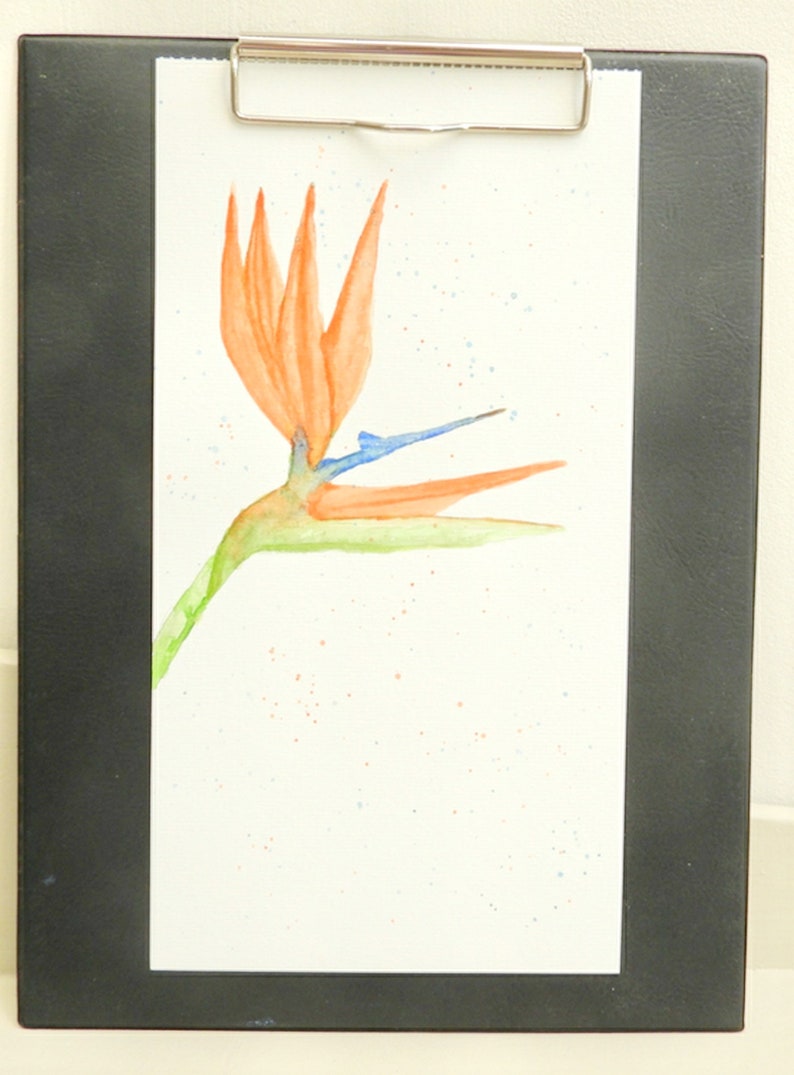 Botanical watercolor, bird of paradise tropical flower, botanical illustration, original bird of paradise watercolor, tropical poster image 3