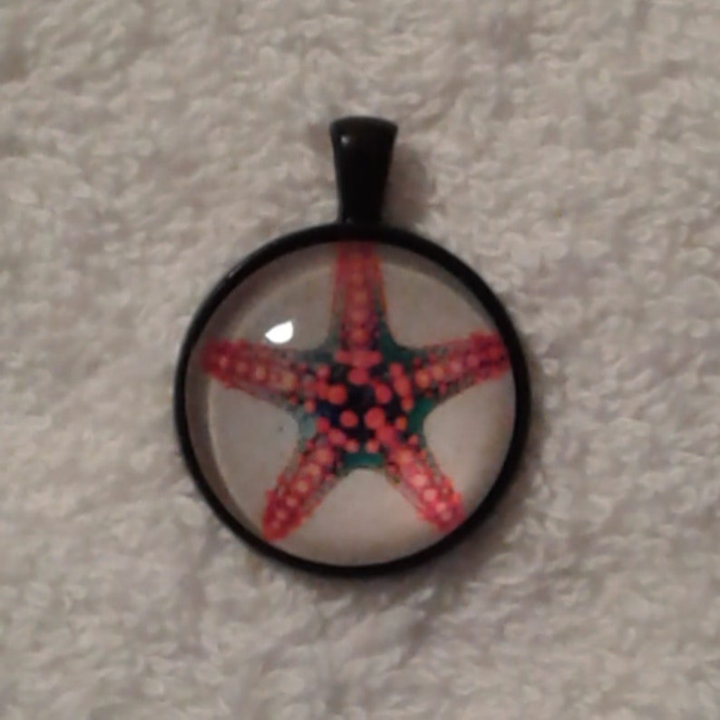Red Starfish Cabochon Glass Pendant