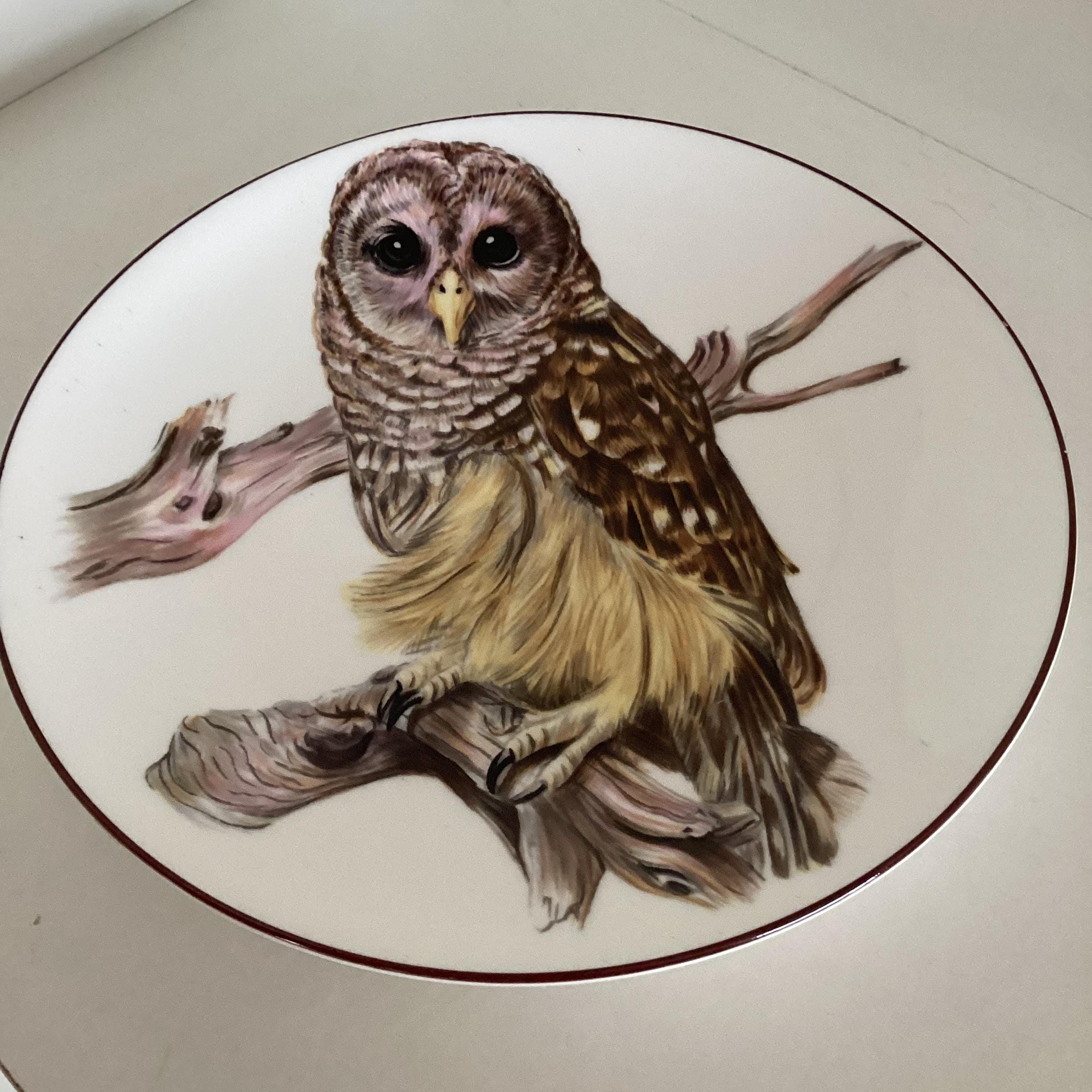ビンテージ 稀少品 絵皿 フクロウ 大皿 プレート 飾り皿 ビンテージ