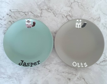 Custom cat food dish dog plate bowl handpainted set water pink green grey ragdoll ceramic persian pug gift for pet lover made to order