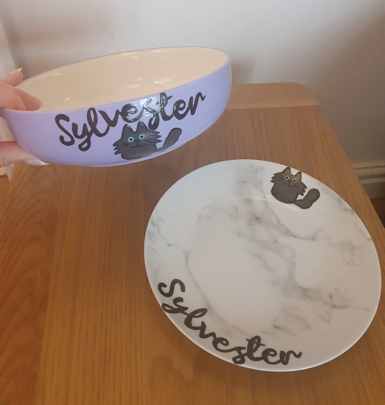 Custom Cat Dog Food Dish Plate Bowl Water Hand Painted Etsy