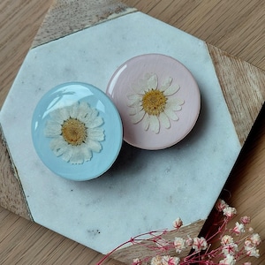 Könnte beinhalten: Zwei runde Resin-Objekte, eines hellblau und eines rosa, jeweils mit einer gepressten Gänseblume. Die Objekte liegen auf einer sechseckigen Oberfläche aus Weiß und Holz, mit einem Zweig getrockneter Blumen.
