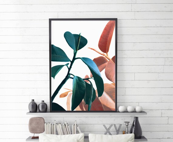 Plant Prints Printable Wall Art Botanical Art Tropical | Etsy