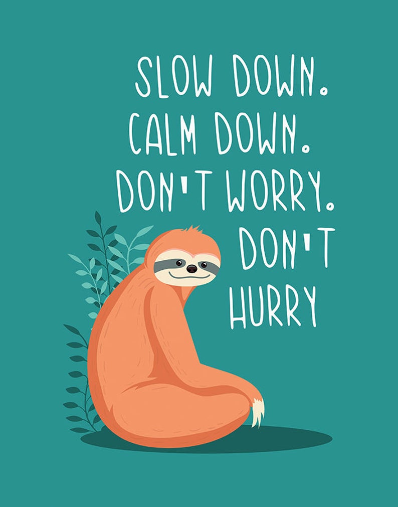 Sloth Poster Slow Down Nursery Poster Nursery Wall Art | Etsy