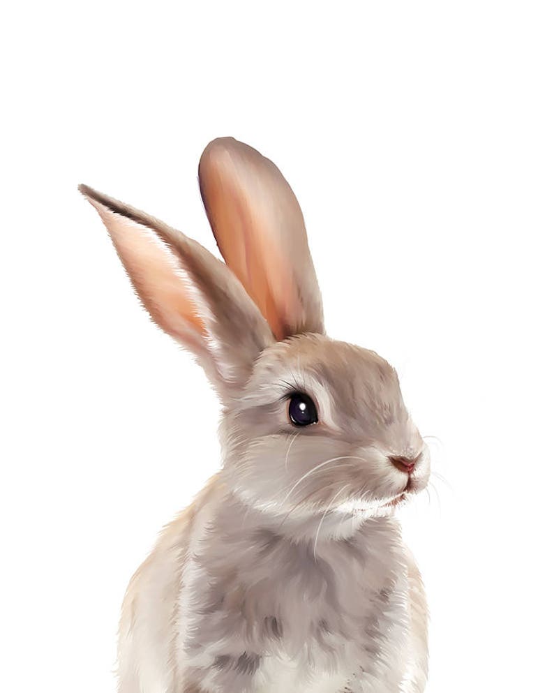 Animal Print Bunny Baby Rabbit Poster Digital Download Etsy