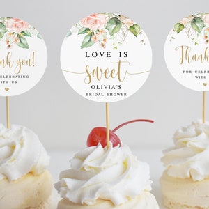 Pink roses cupcake topper label Editable round gift tag template Floral label printable Circle thank you stickers Download Templett WSPR-A