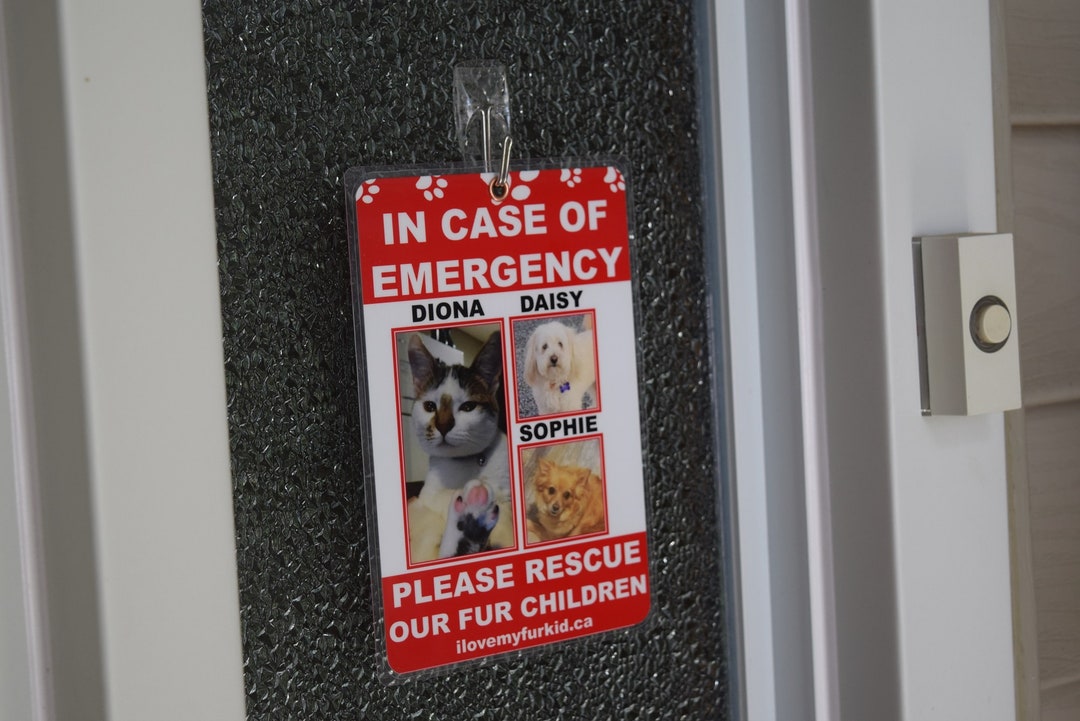 Please Rescue/signs for Pets/emergency Pet Sign/save Our Pets/emergency ...