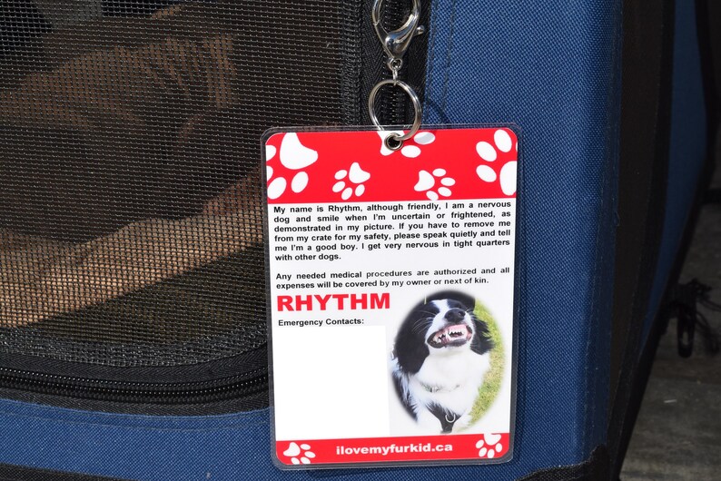 Kennel Tag/Kennel Sign/Travel Kennel Tag/Pet ID Tag/Crate Etsy