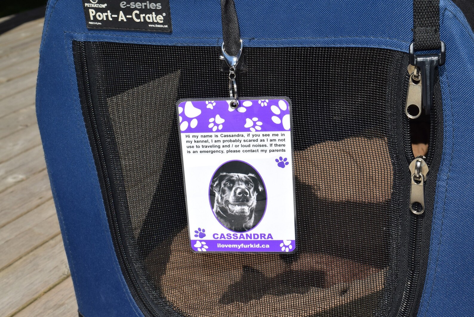 Kennel Tag/Kennel Sign/Travel Kennel Tag/Pet ID Tag/Crate Etsy