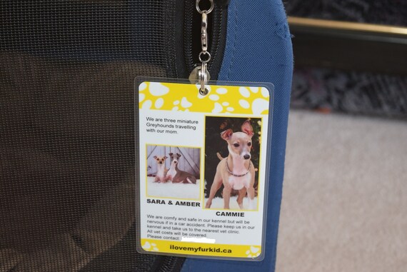 Crate tags for dogs hot sale