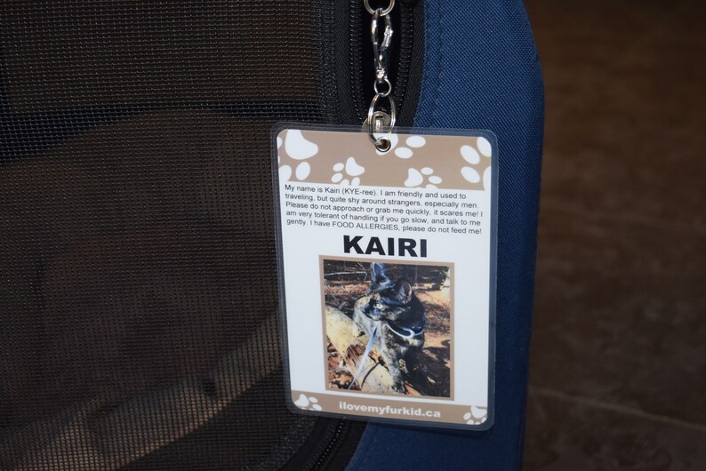 Kennel Tag/Kennel Sign/Travel Kennel Tag/Pet ID Tag/Crate Etsy