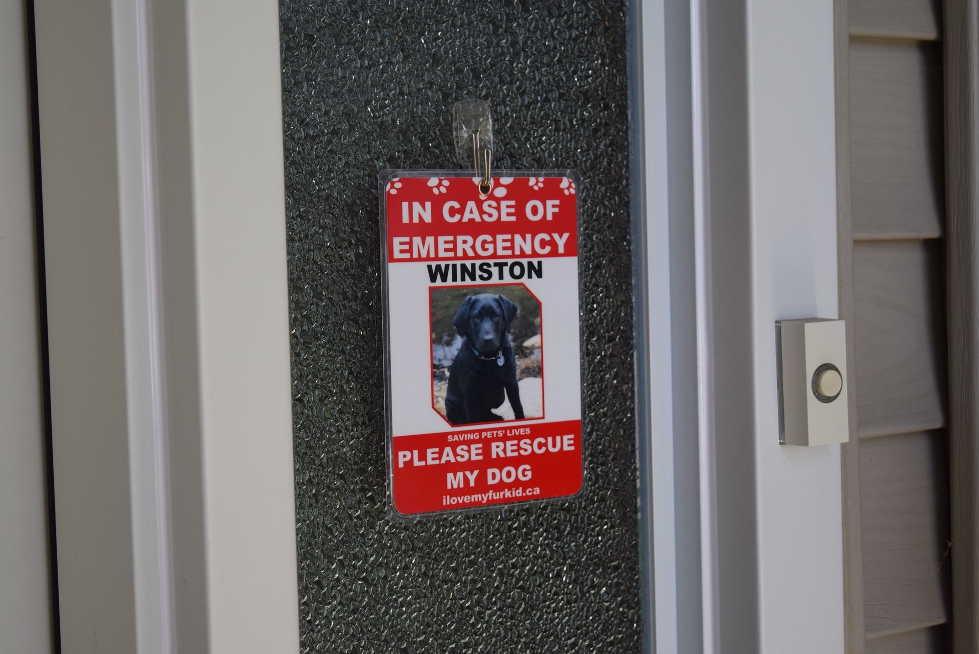 Personalised Pet Tag/rescue Sign/fur Kid/fur Baby/animal Family/pet ...