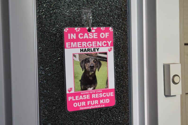 Personalised Pet Tag/rescue Sign/fur Kid/fur Baby/animal Etsy
