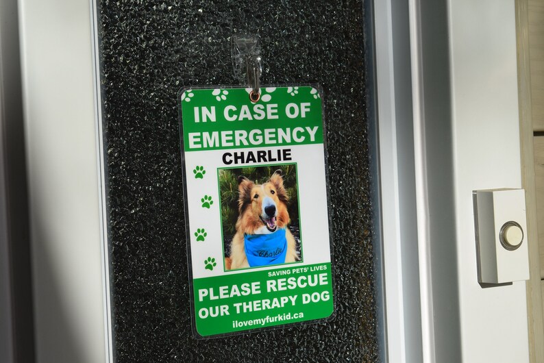 Personalised Pet Tag/rescue Sign/fur Kid/fur Baby/animal Etsy