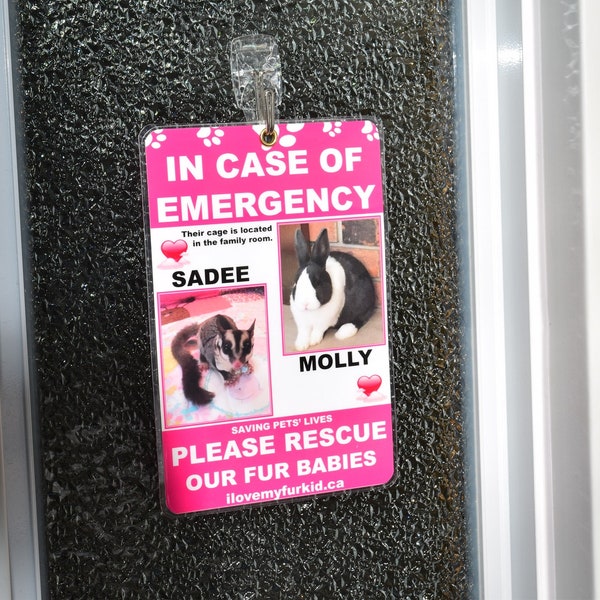 Pet Inside Sticker Etsy