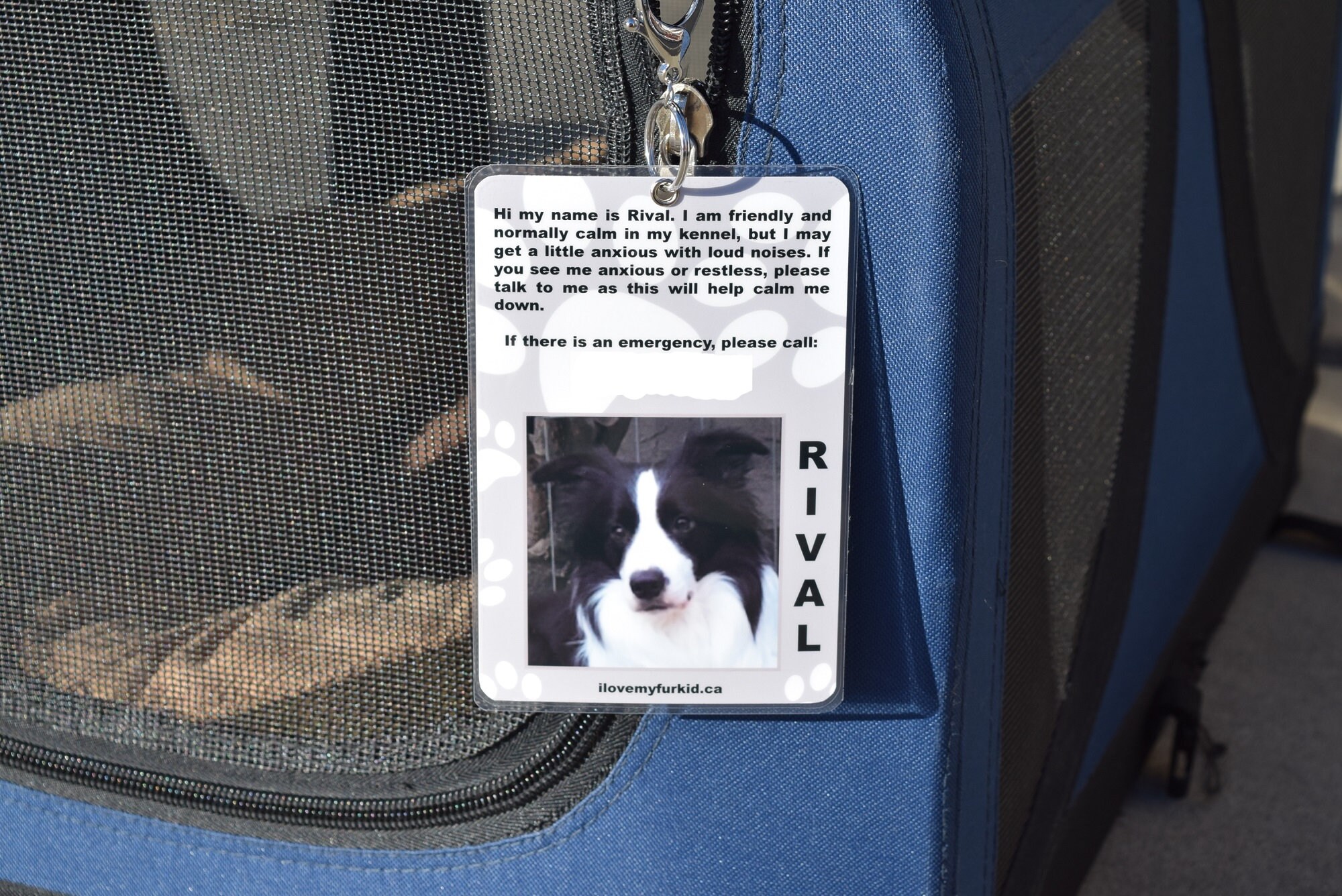 Kennel Tag/Kennel Sign/Travel Kennel Tag/Pet ID Tag/Crate Etsy