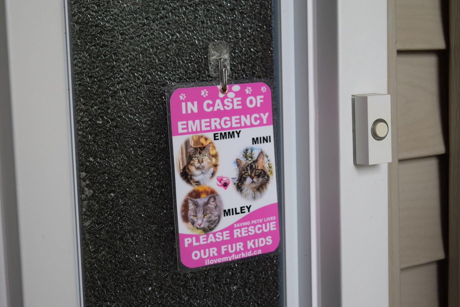 Please Rescue/signs for Pets/emergency Pet Sign/save Our - Etsy