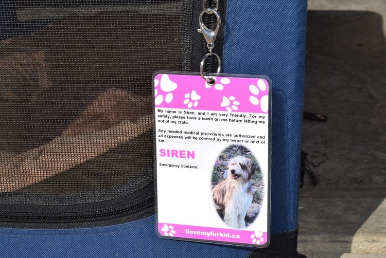 Kennel Tag/Kennel Sign/Travel Kennel Tag/Pet ID Tag/Crate Etsy