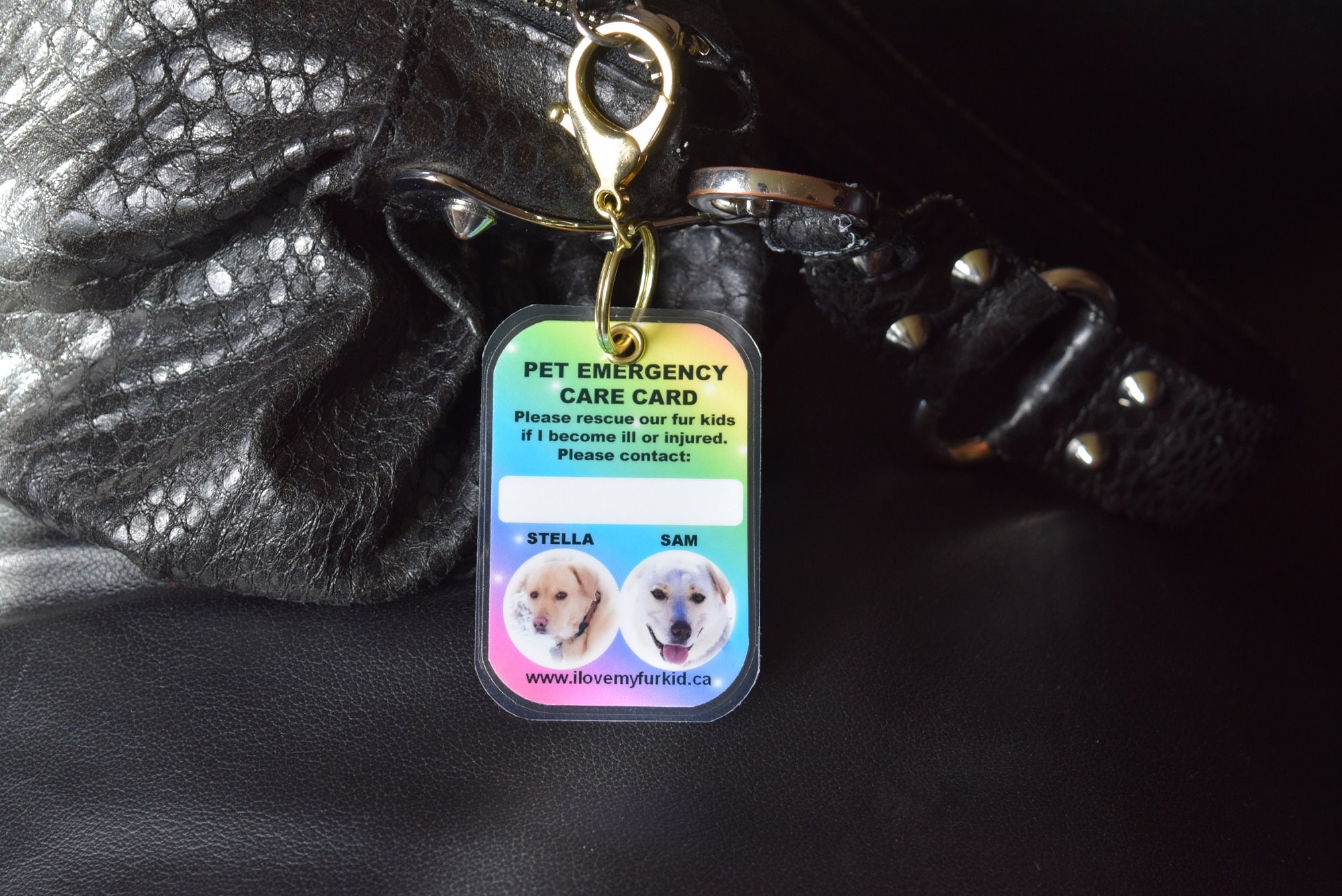 My Dogs Are Home Alone My Cats Are Home Alone Pet Emergency - Etsy