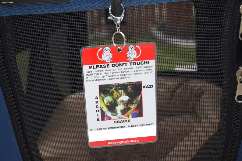 Kennel Tag/Kennel Sign/Travel Kennel Tag/Pet ID Tag/Crate Etsy