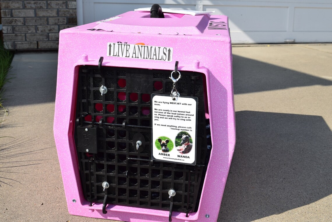 Kennel Tag/Kennel Sign/Travel Kennel Tag/Pet ID Tag/Crate Etsy