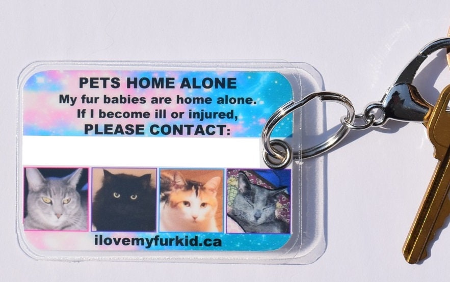 My Dogs Are Home Alone My Cats Are Home Alone Pet Emergency - Etsy