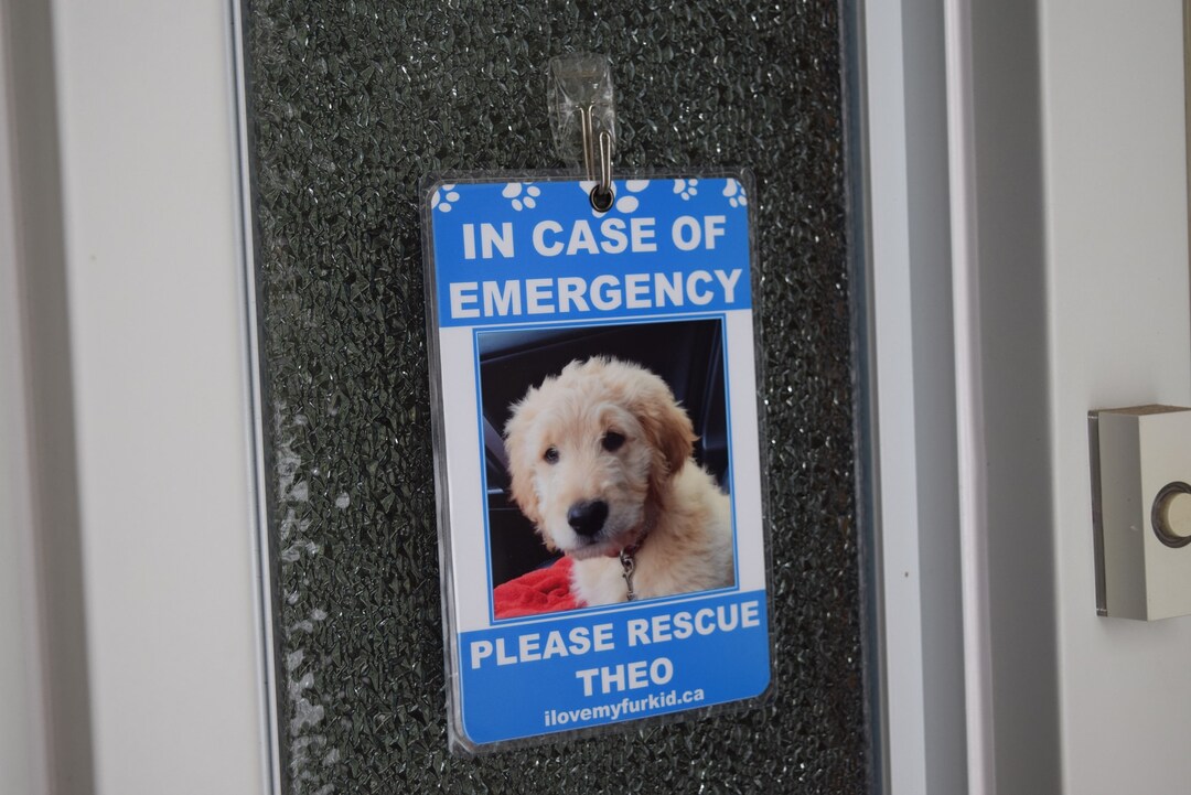 Personalised Pet Tag/rescue Sign/fur Kid/fur Baby/animal Family/pet ...