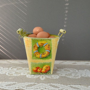 Metal bucket Kitchen egg fruit vegetable basket Kitchen organization Countertop decor Front porch Rustic country cottage chic