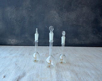 Botellas de vidrio transparente en miniatura con tapa: decoración de boticario, regalo científico