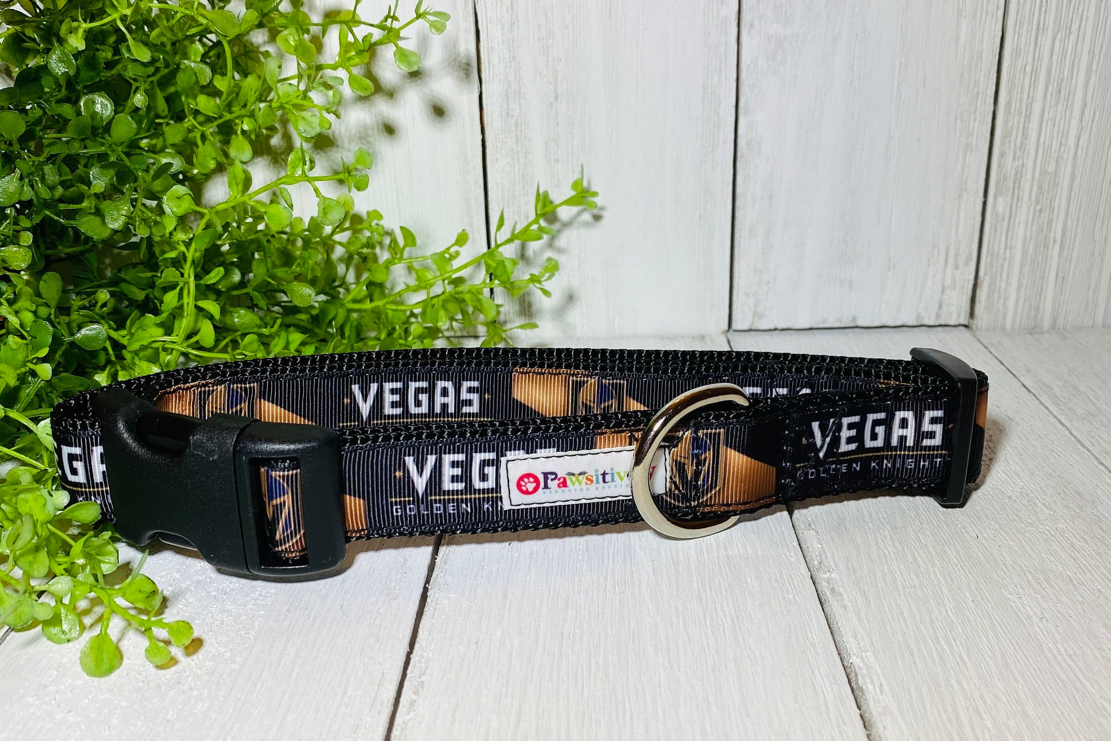 golden knights dog collar