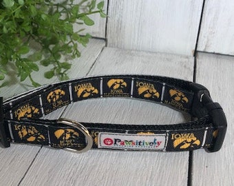 Iowa Hawkeyes, 5/8"Dog Collar
