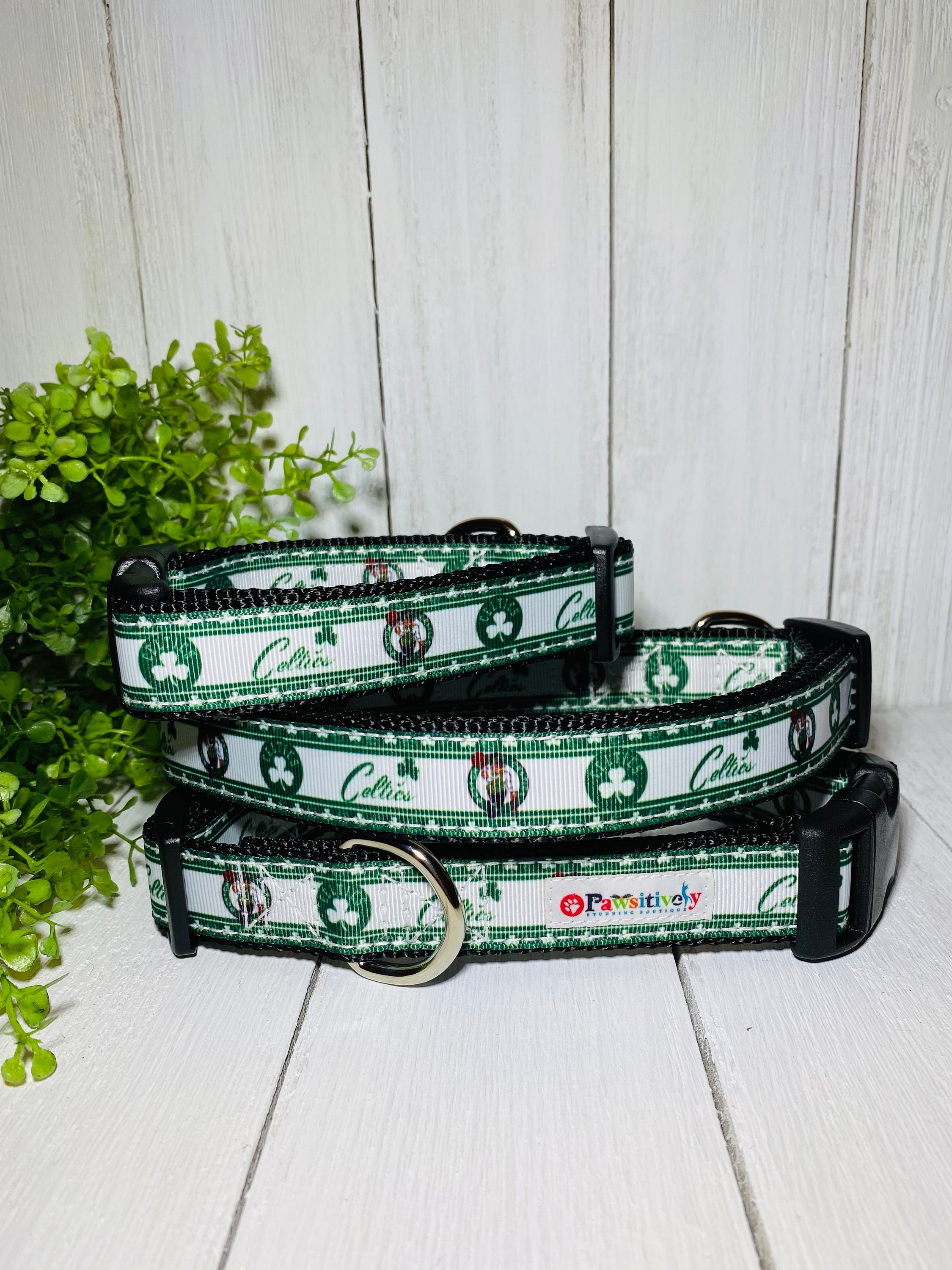 celtics dog collar