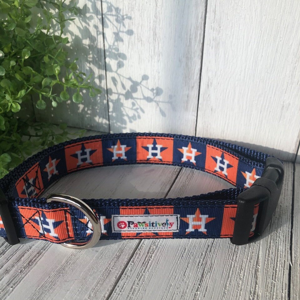 astros dog collar