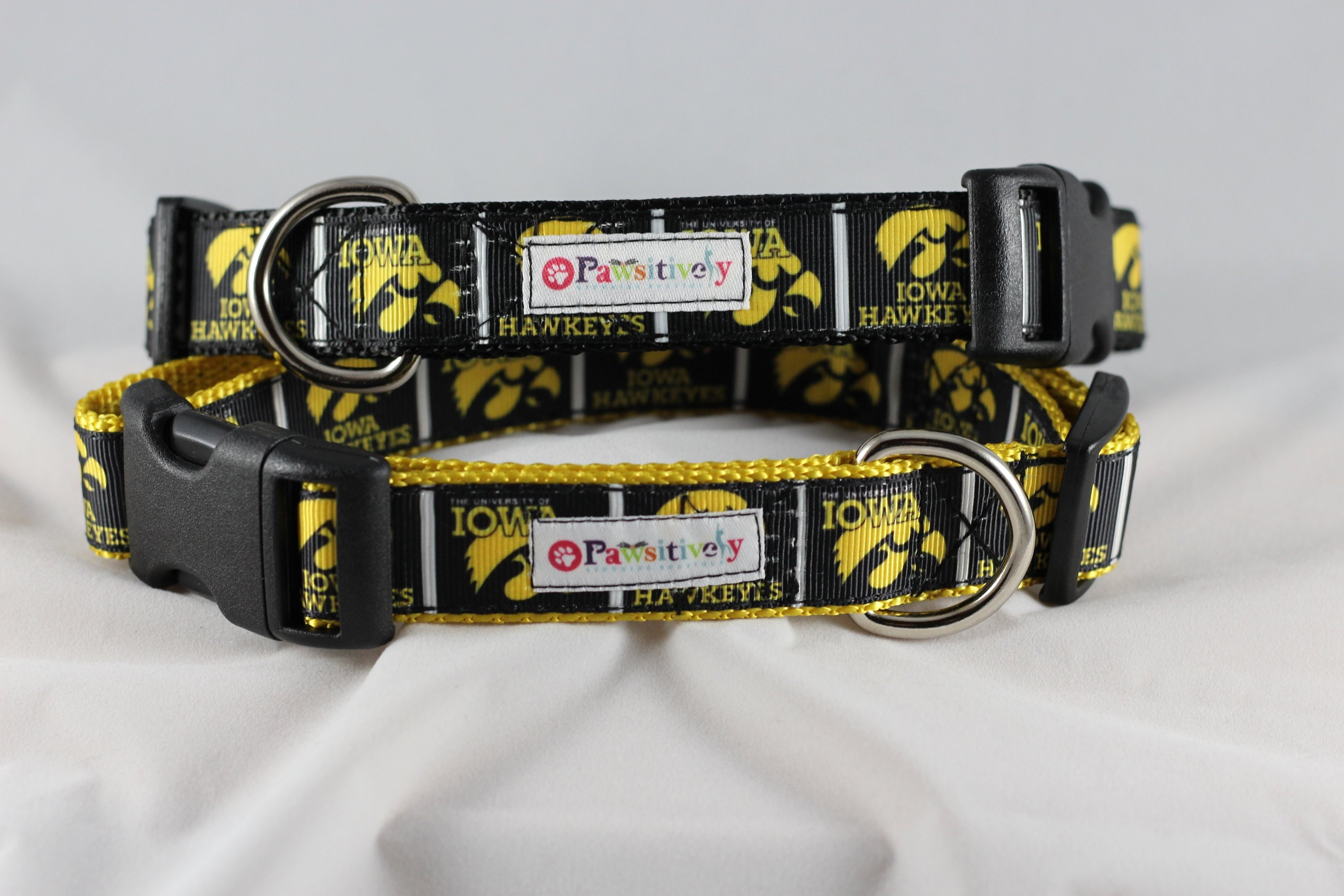 iowa hawkeye dog collar